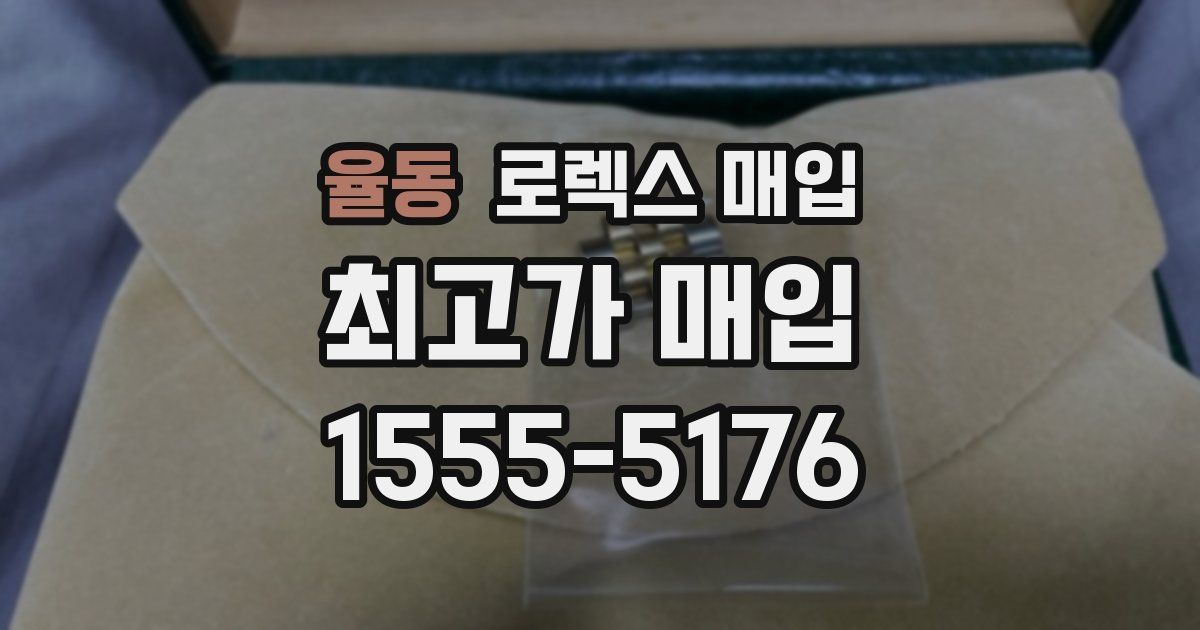 율동 로렉스 매입