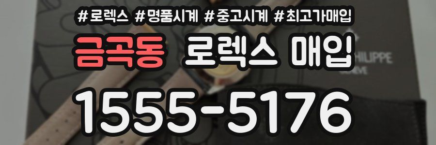 금곡동 로렉스 매입