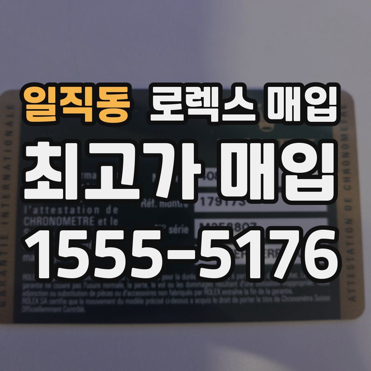 일직동 로렉스 매입