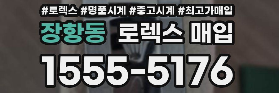 장항동 로렉스 매입