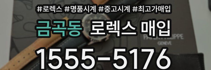 금곡동 로렉스 매입