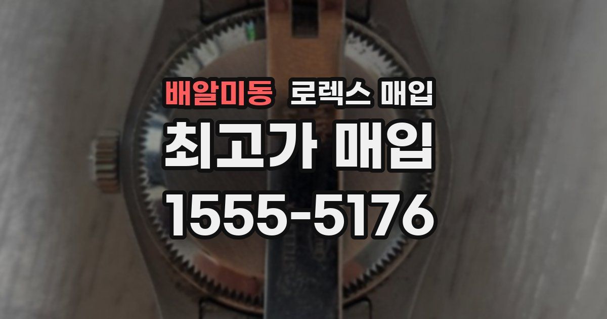 배알미동 로렉스 매입