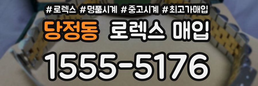 당정동 로렉스 매입