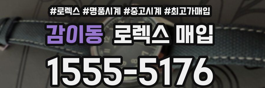 감이동 로렉스 매입