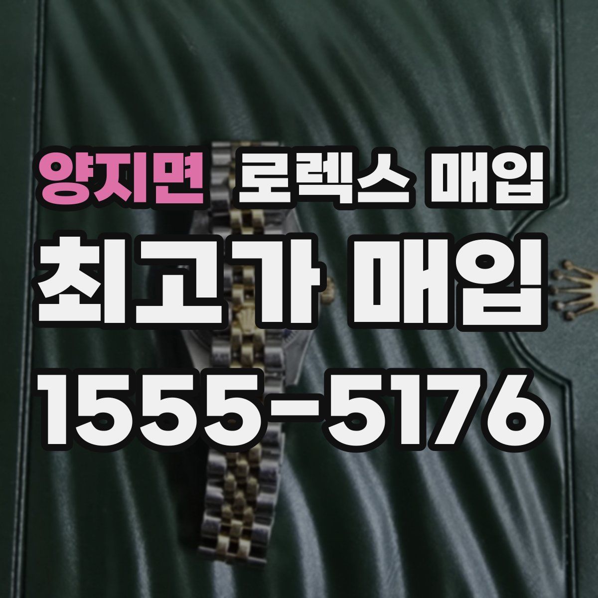 양지면 로렉스 매입