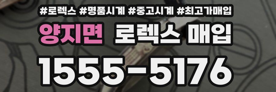 양지면 로렉스 매입