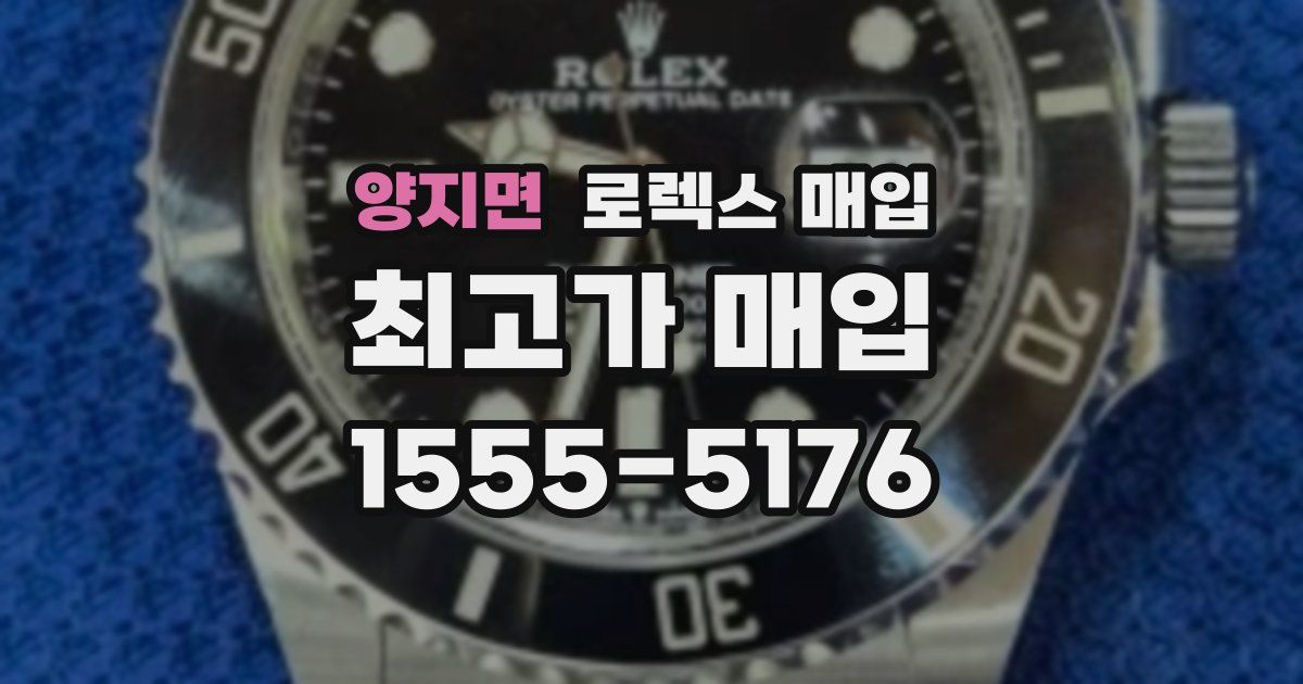 양지면 로렉스 매입