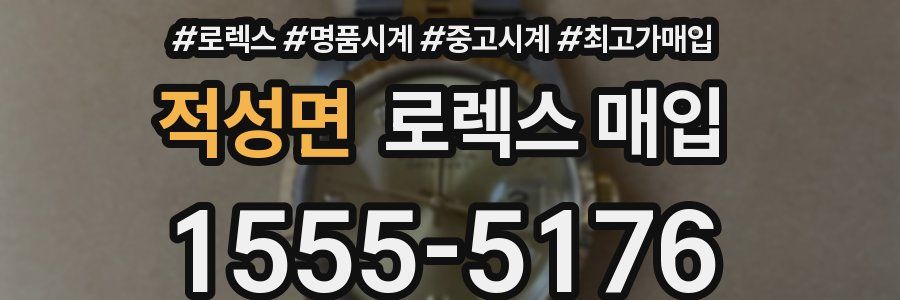 적성면 로렉스 매입