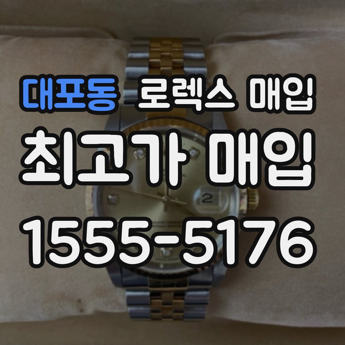 대포동 로렉스 매입