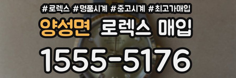 양성면 로렉스 매입