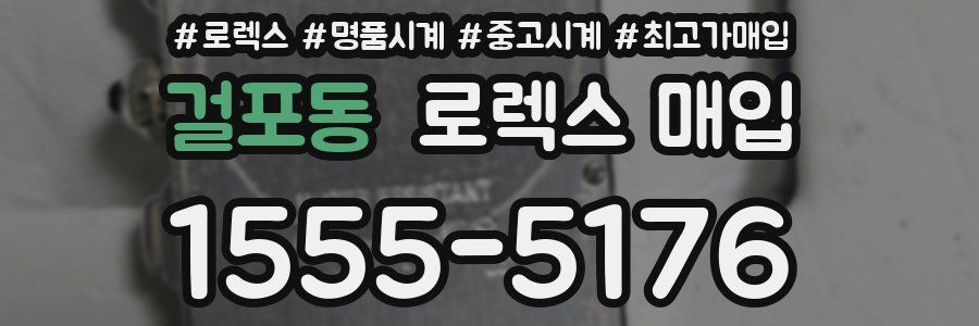 걸포동 로렉스 매입