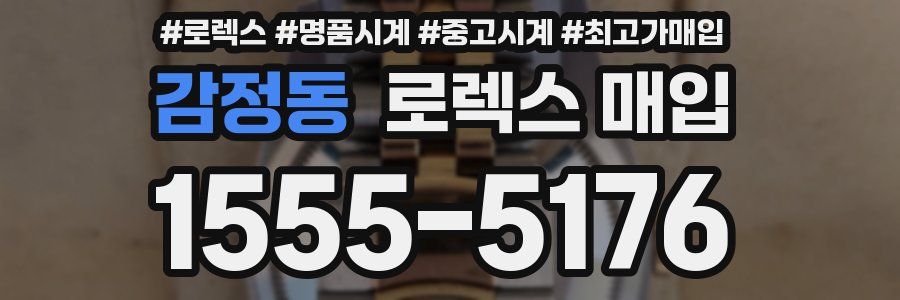 감정동 로렉스 매입