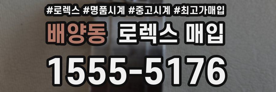 배양동 로렉스 매입