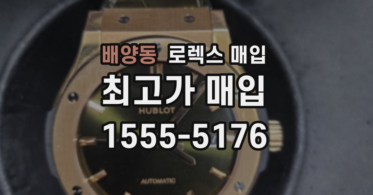 배양동 로렉스 매입