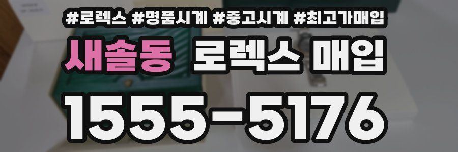 새솔동 로렉스 매입