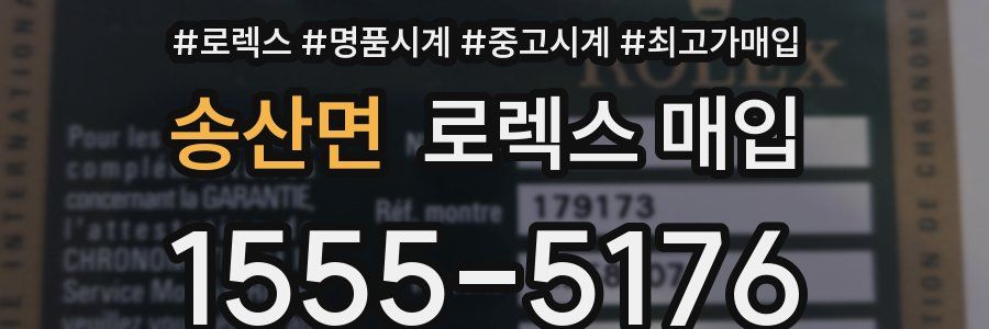 송산면 로렉스 매입