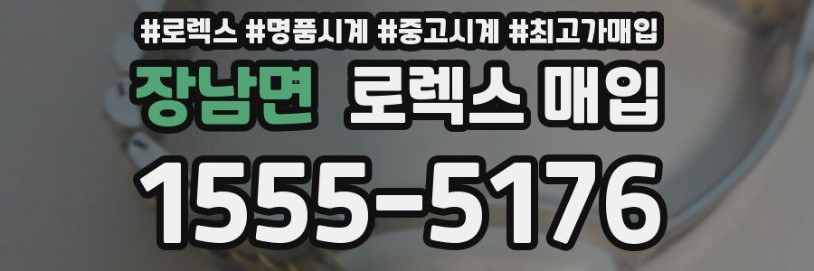 장남면 로렉스 매입