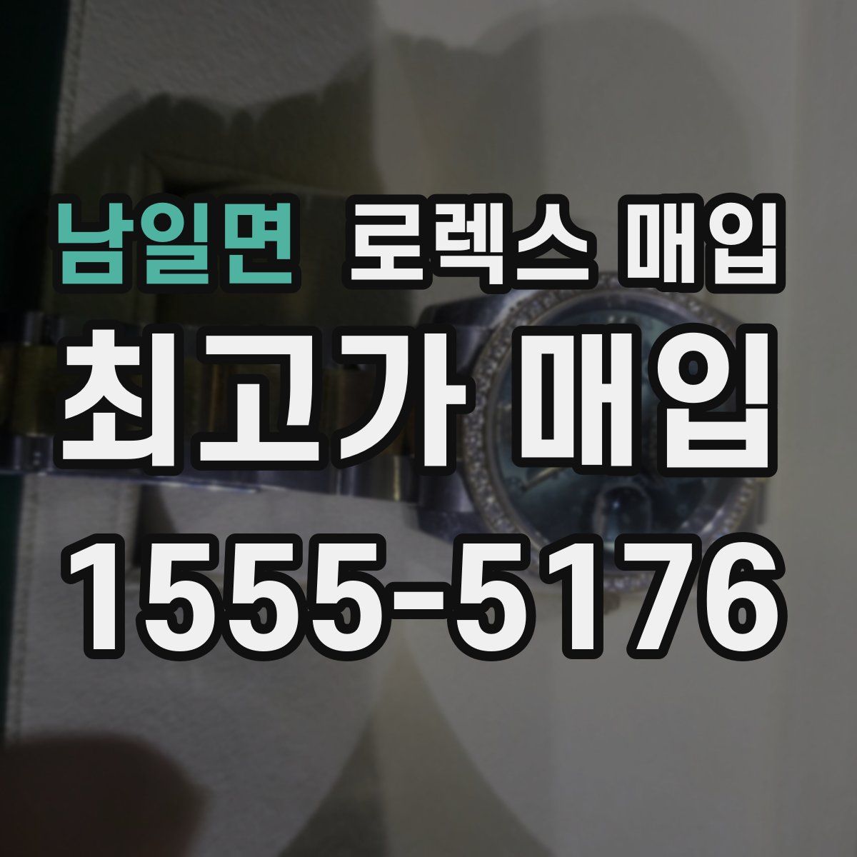 남일면 로렉스 매입