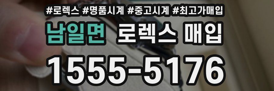 남일면 로렉스 매입