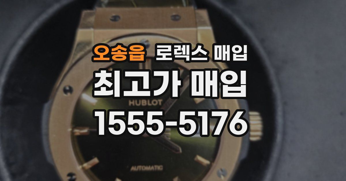 오송읍 로렉스 매입