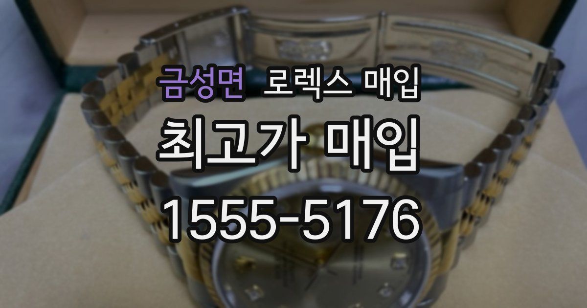 금성면 로렉스 매입