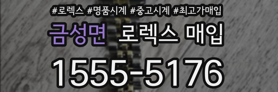 금성면 로렉스 매입