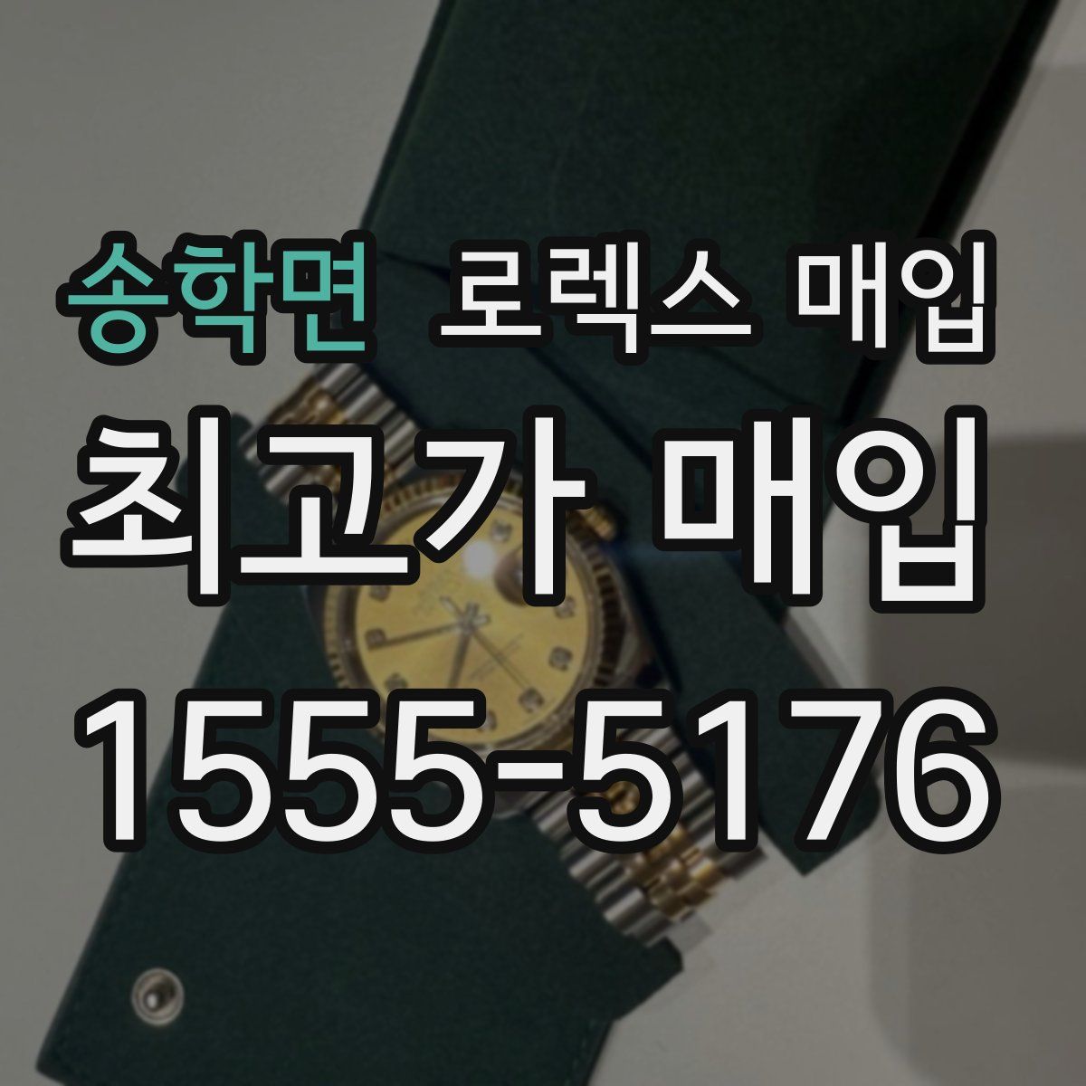 송학면 로렉스 매입