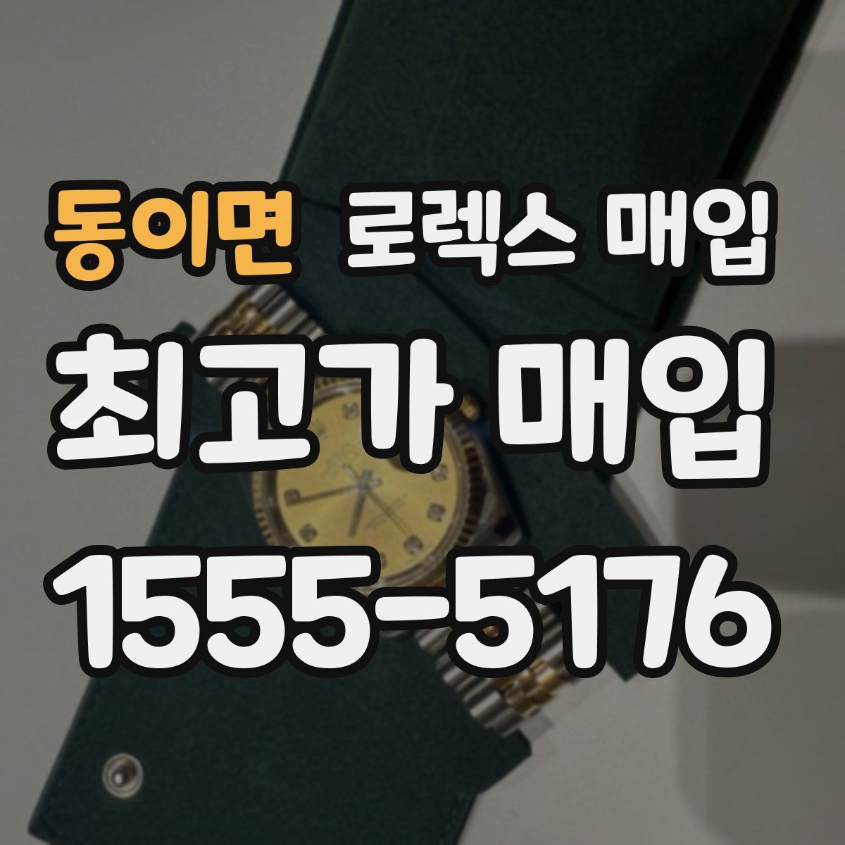 동이면 로렉스 매입