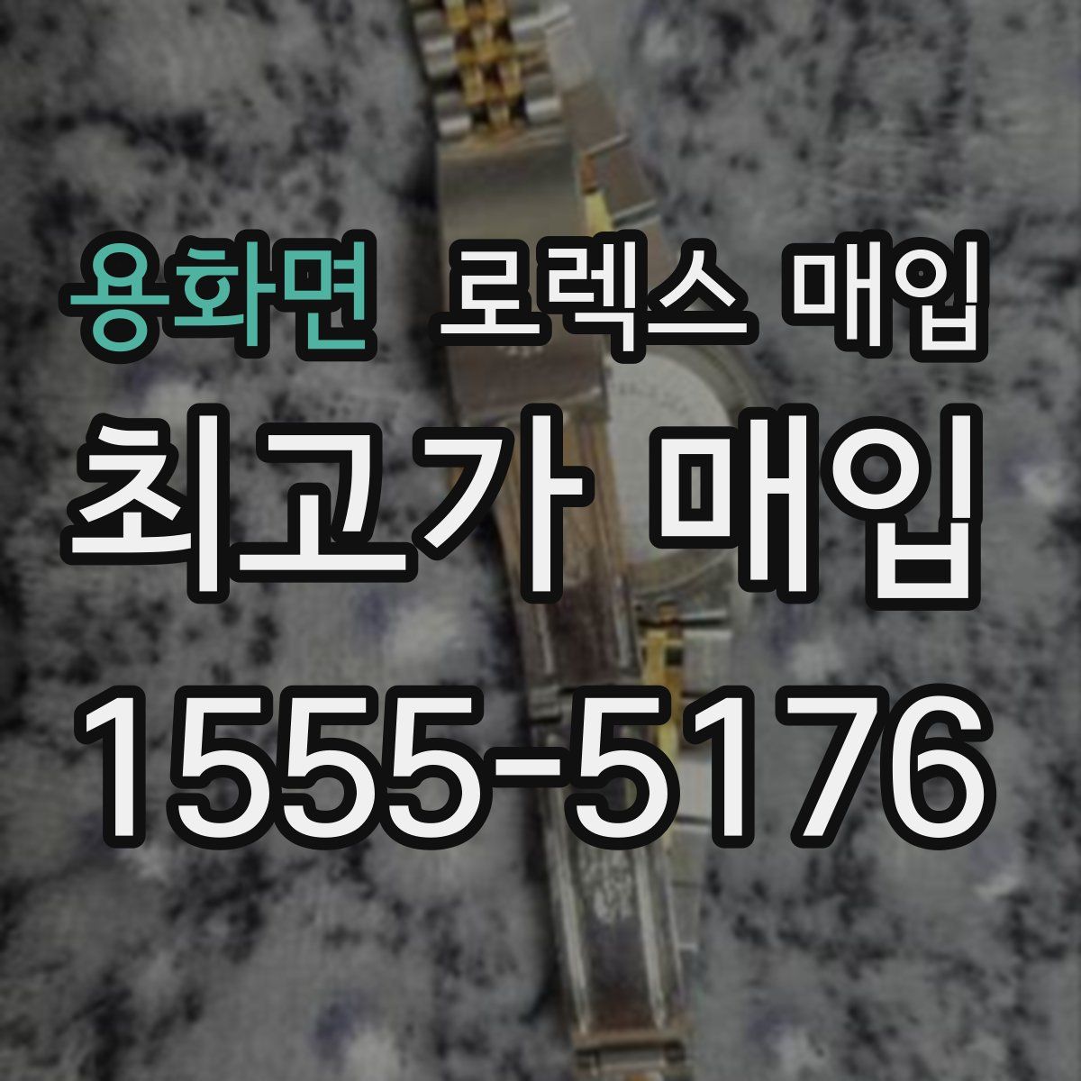 용화면 로렉스 매입