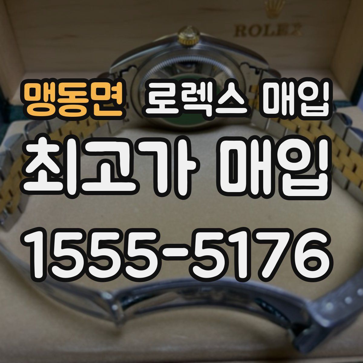 맹동면 로렉스 매입