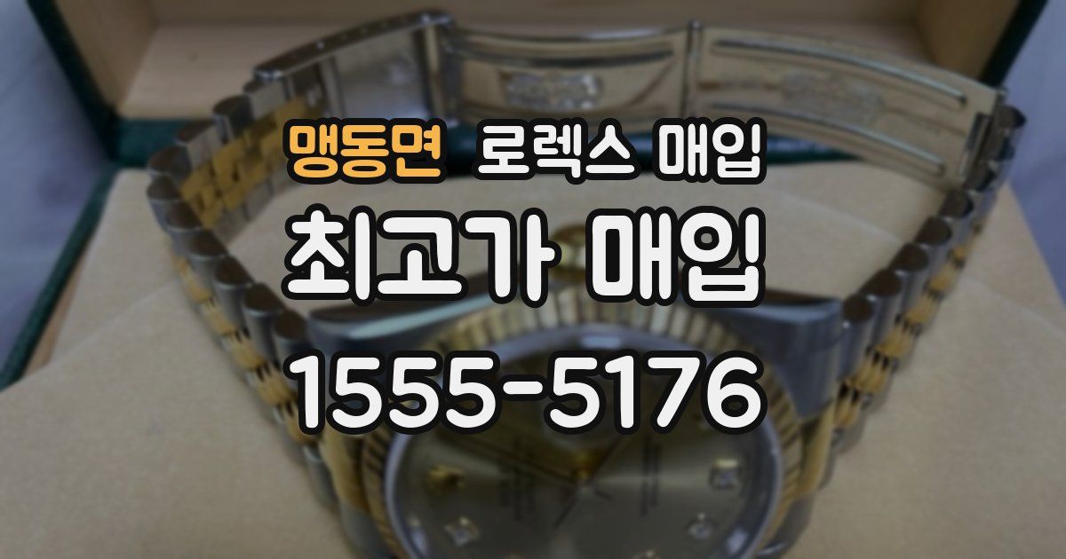 맹동면 로렉스 매입