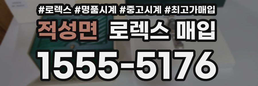 적성면 로렉스 매입