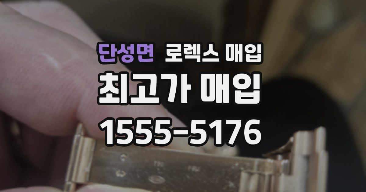 단성면 로렉스 매입