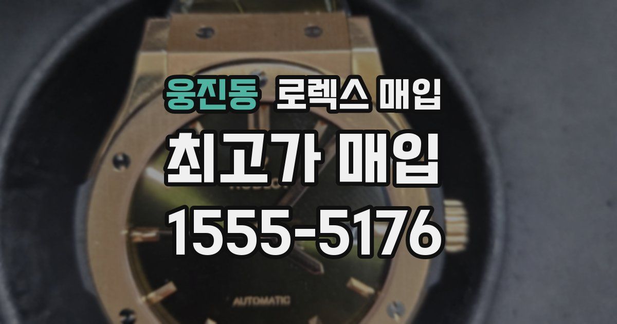 웅진동 로렉스 매입