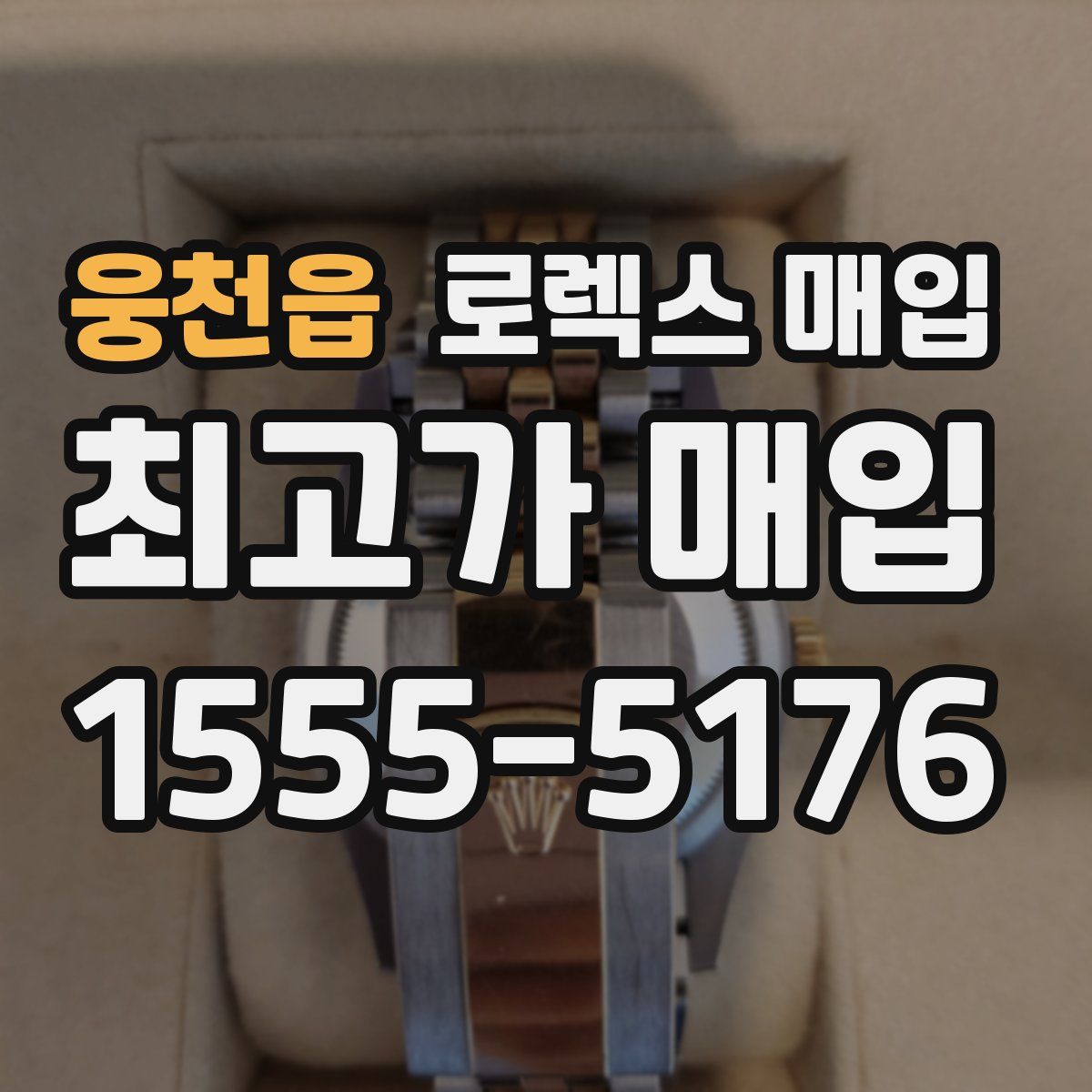 웅천읍 로렉스 매입