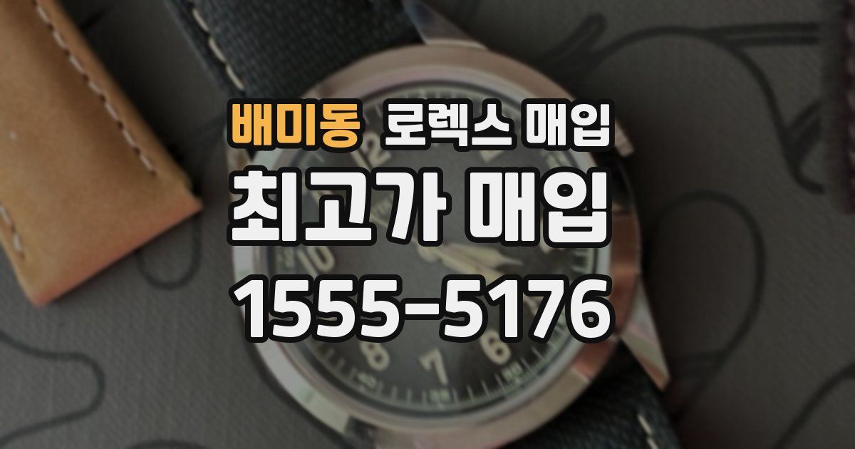 배미동 로렉스 매입