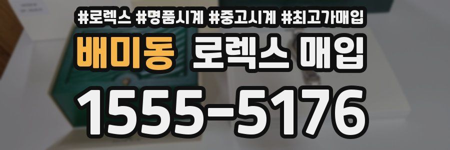 배미동 로렉스 매입