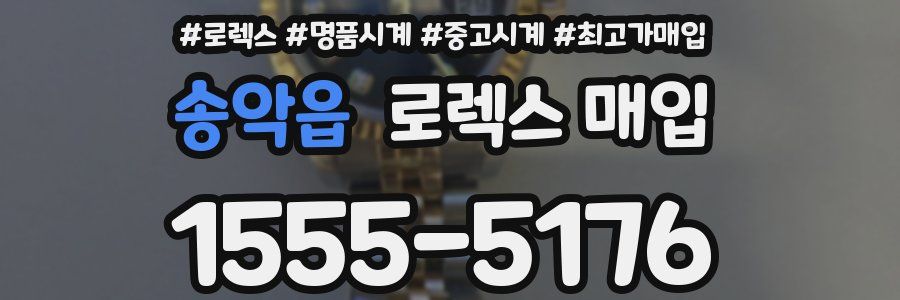 송악읍 로렉스 매입
