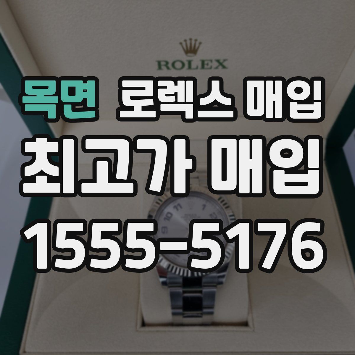 목면 로렉스 매입