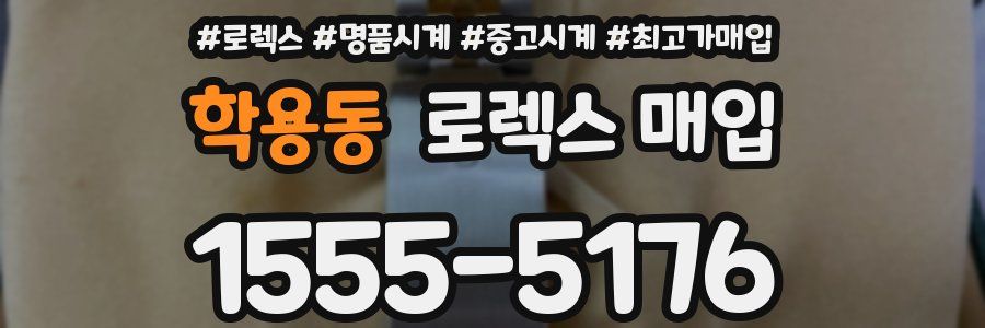 학용동 로렉스 매입