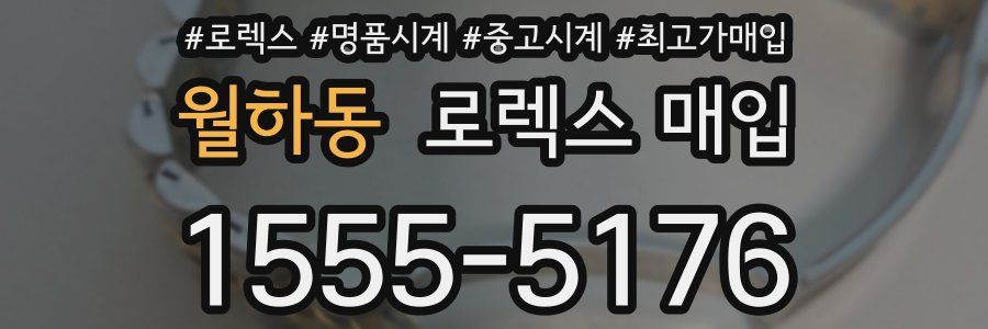 월하동 로렉스 매입