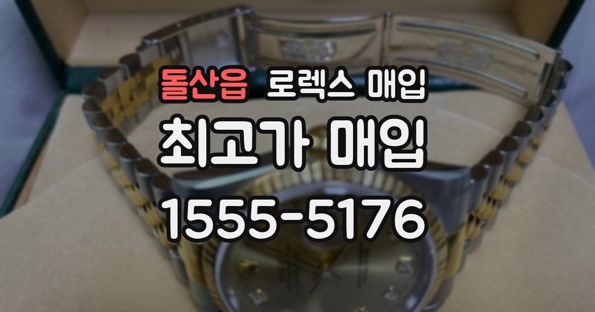 돌산읍 로렉스 매입