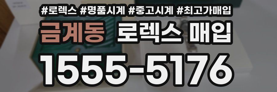 금계동 로렉스 매입