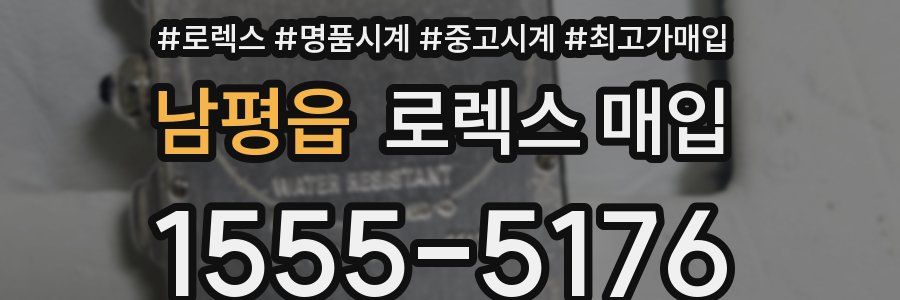 남평읍 로렉스 매입