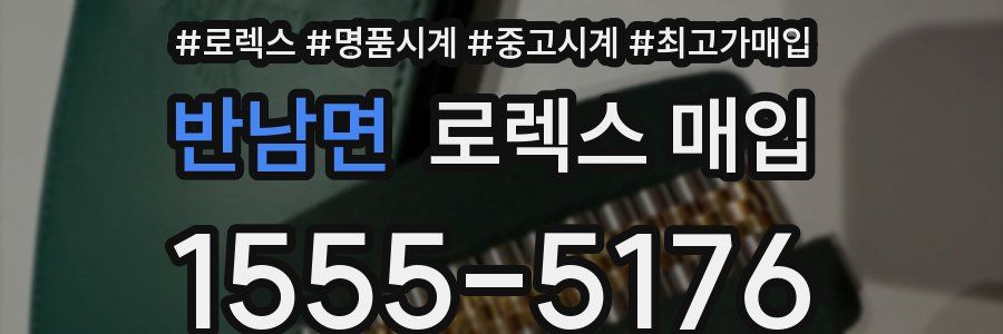 반남면 로렉스 매입