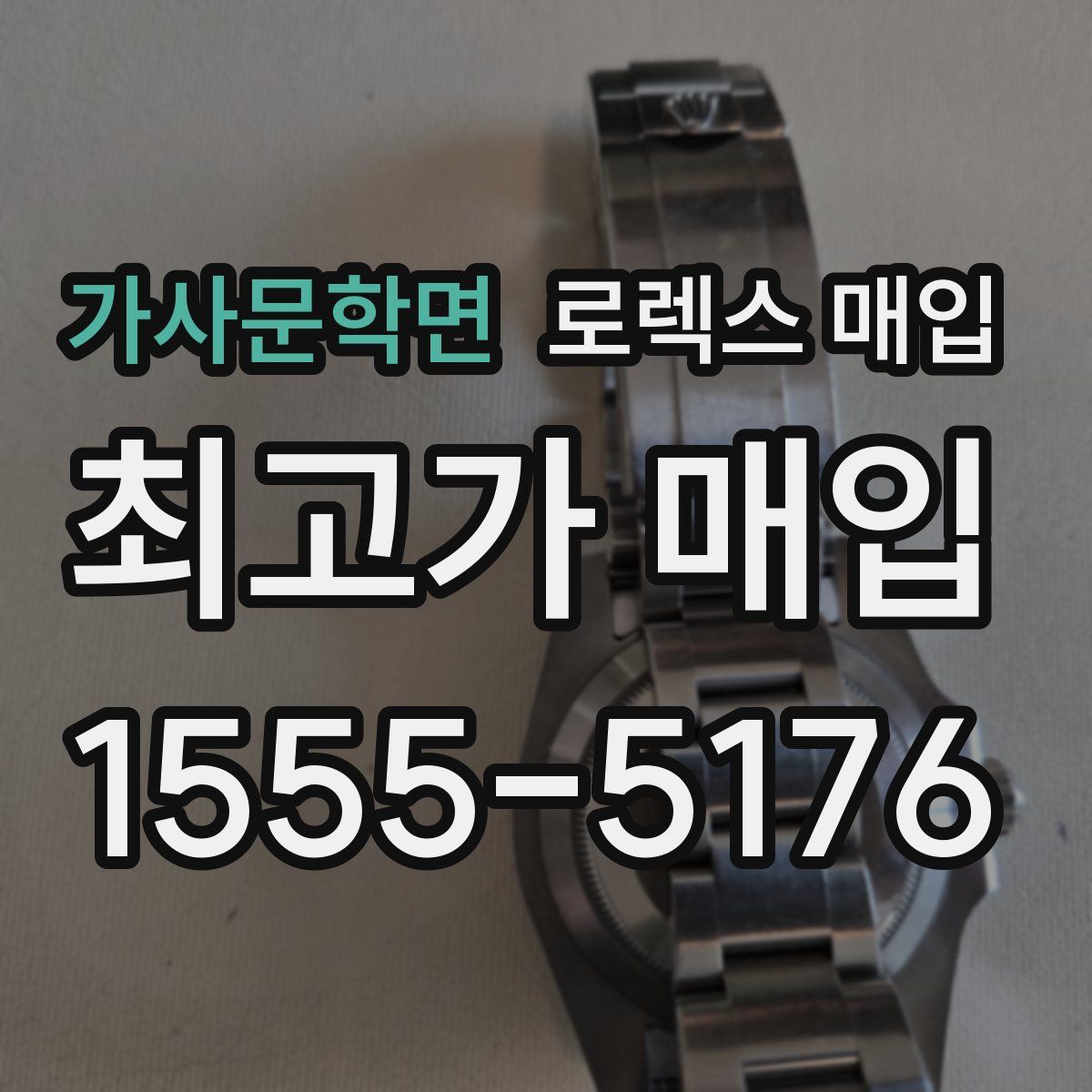 가사문학면 로렉스 매입