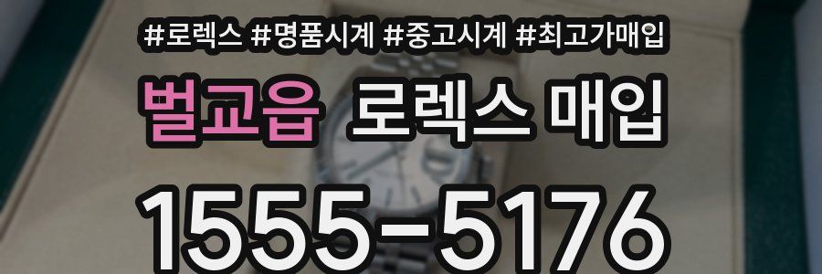 벌교읍 로렉스 매입