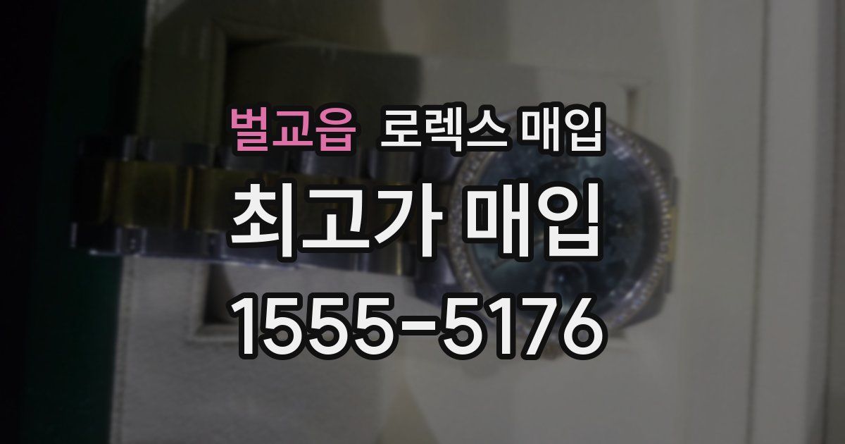 벌교읍 로렉스 매입