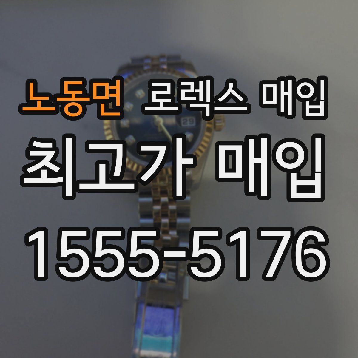 노동면 로렉스 매입