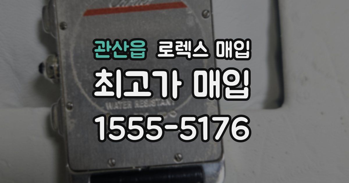 관산읍 로렉스 매입